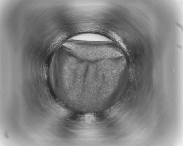 X0000093170114200710241048