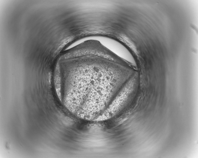 X0000093170115200710241048