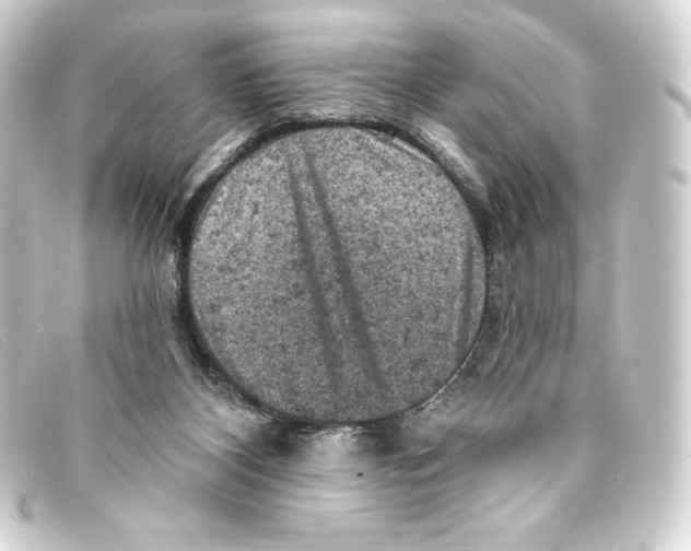 X0000093170116200710241048