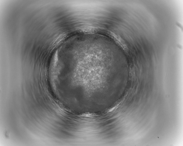 X0000093170117200710241048