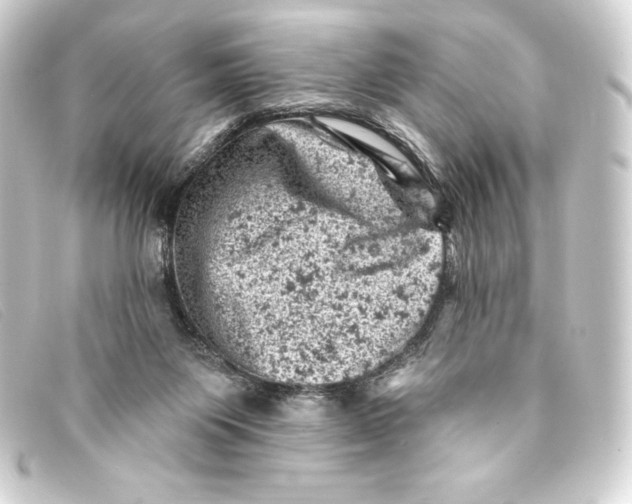 X0000093170119200710241048