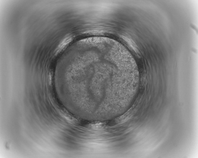 X0000093170120200710241048