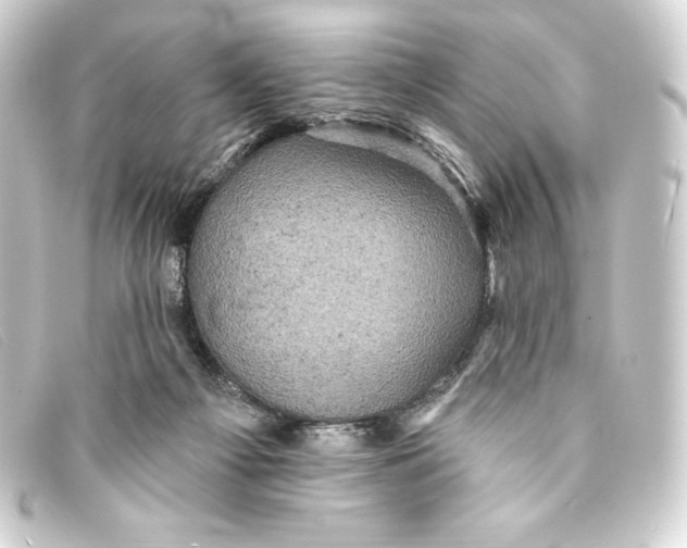 X0000093170121200710241048