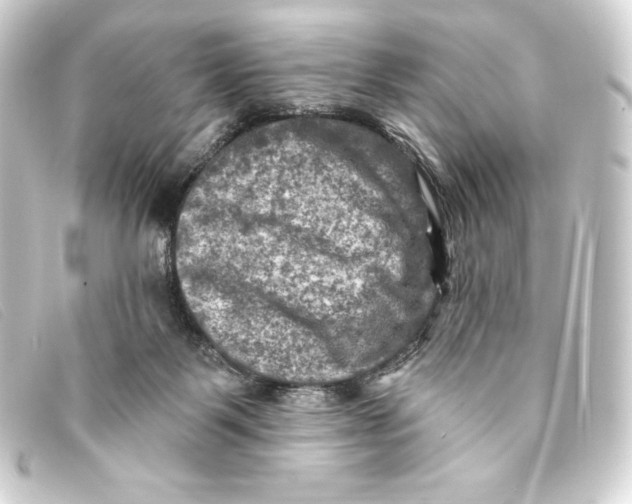 X0000093170123200710241047