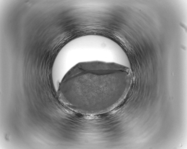 X0000093170125200710241047