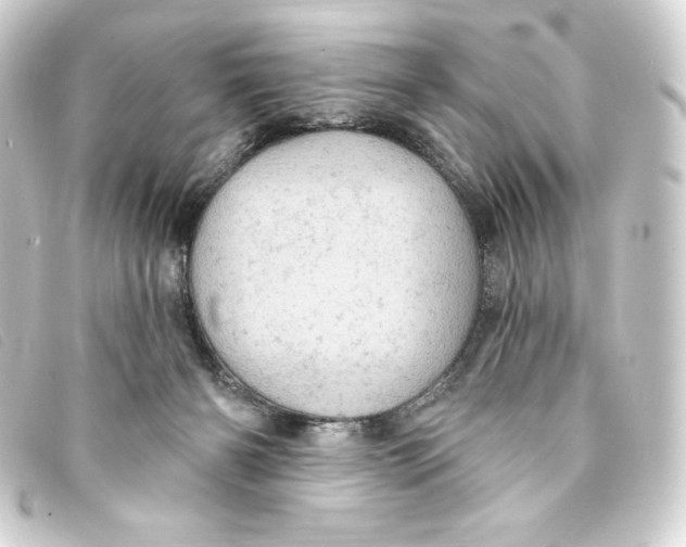 X0000093170126200710241047