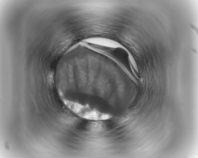 X0000093170127200710241047