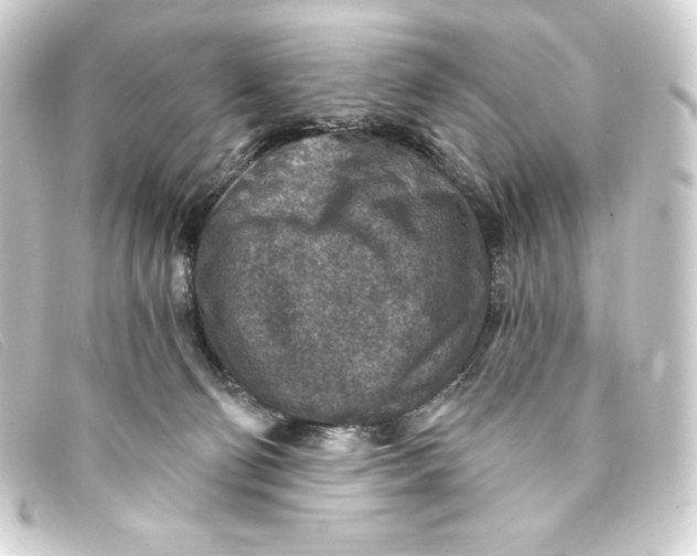 X0000093170130200710241047