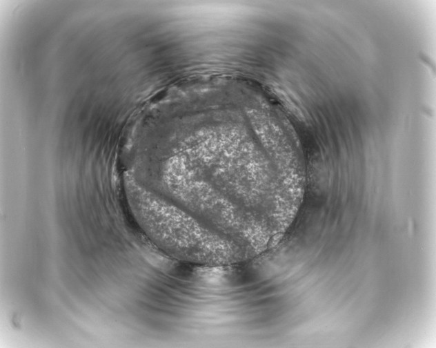 X0000093170131200710241047