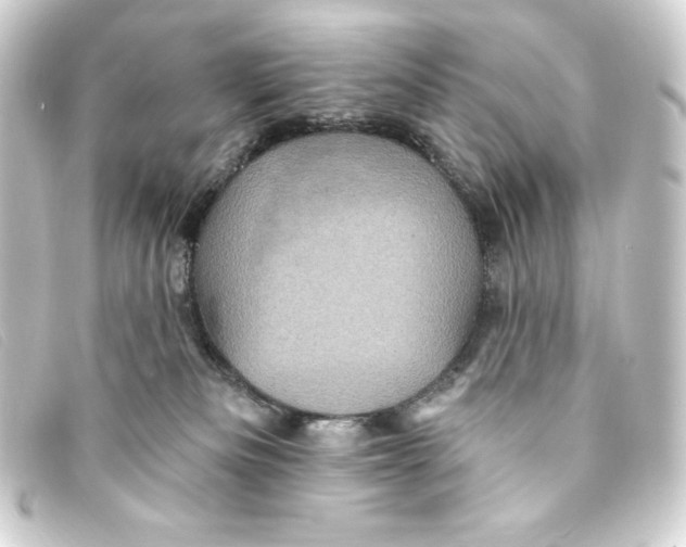 X0000093170133200710241047