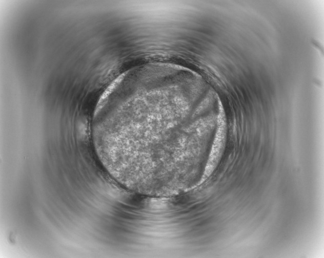 X0000093170134200710241047