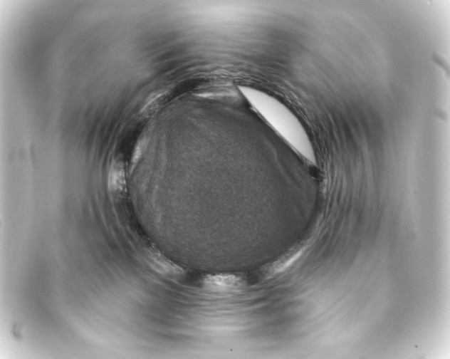 X0000093170137200710241047