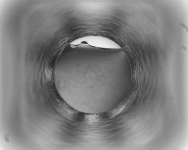 X0000093170139200710241047