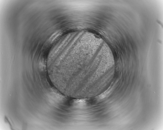 X0000093170140200710241047