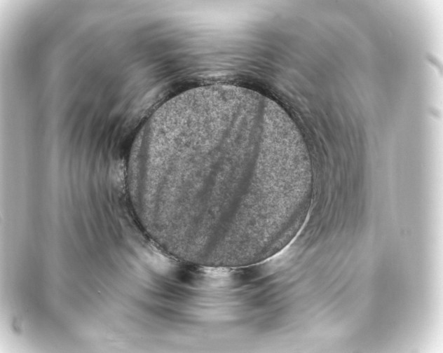 X0000093170144200710241047