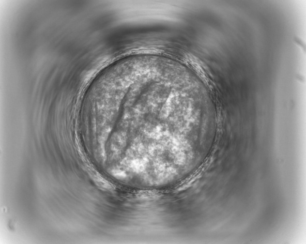 X0000093170145200710241047