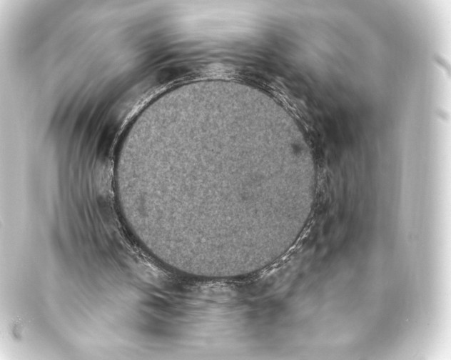 X0000093170146200710241047