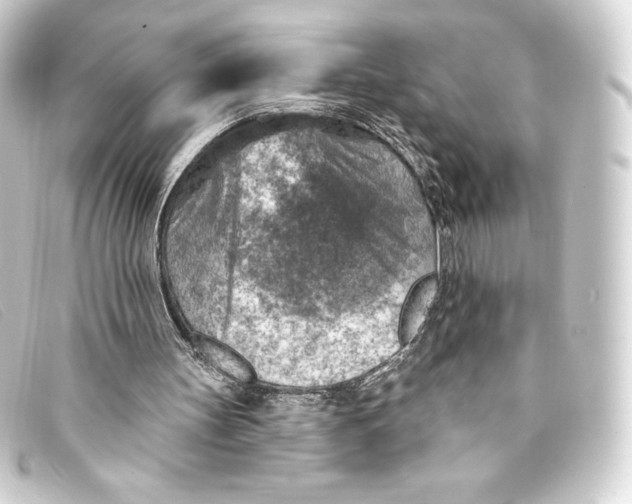 X0000093170147200710241047