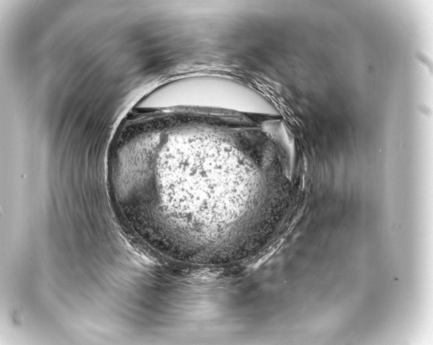 X0000093170148200710241047