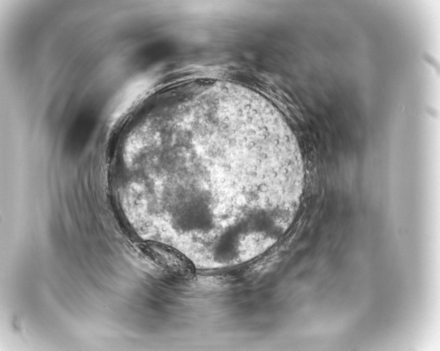 X0000093170149200710241047