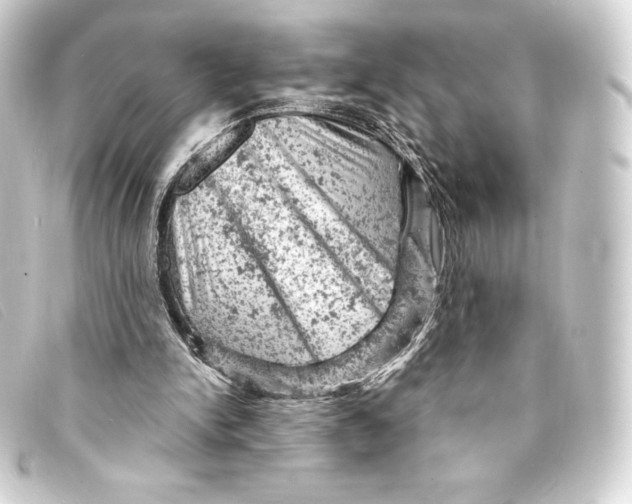 X0000093170150200710241047