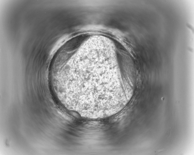 X0000093170151200710241047