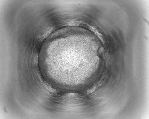 X0000093170153200710241047