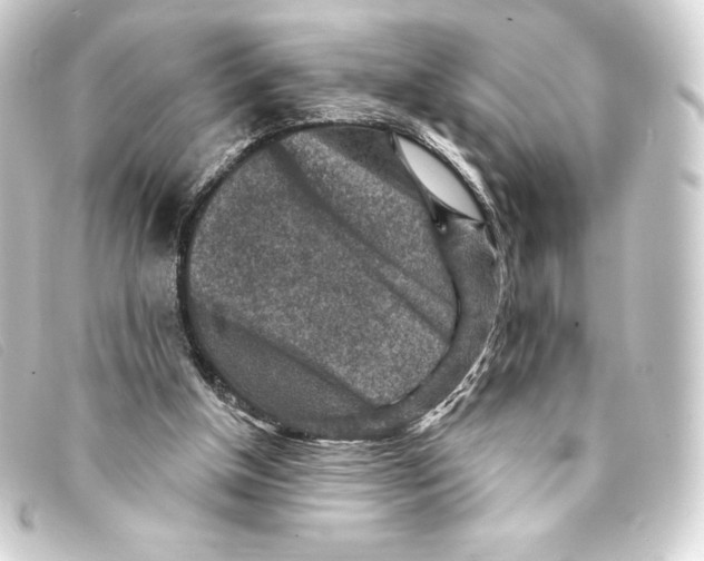 X0000093170154200710241047