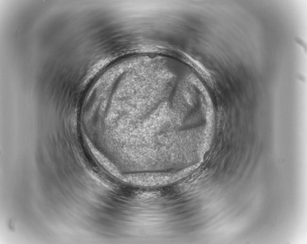 X0000093170155200710241047