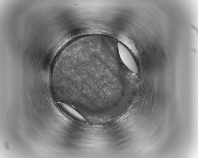 X0000093170156200710241047