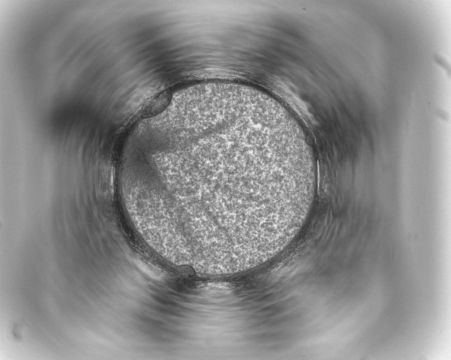 X0000093170157200710241047