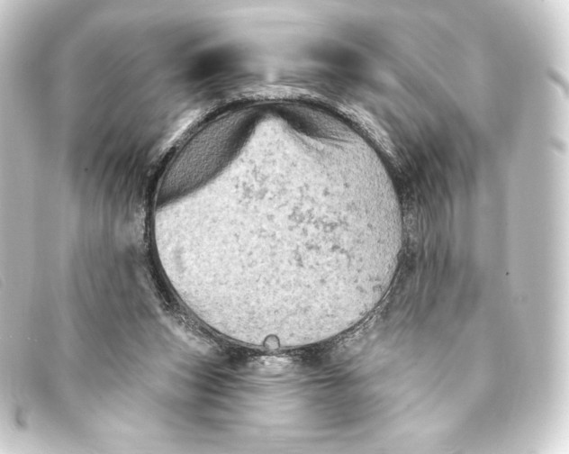 X0000093170159200710241047