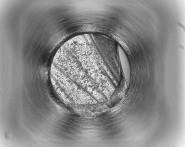 X0000093170160200710241047