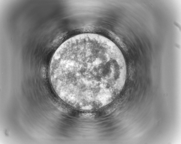 X0000093170161200710241047