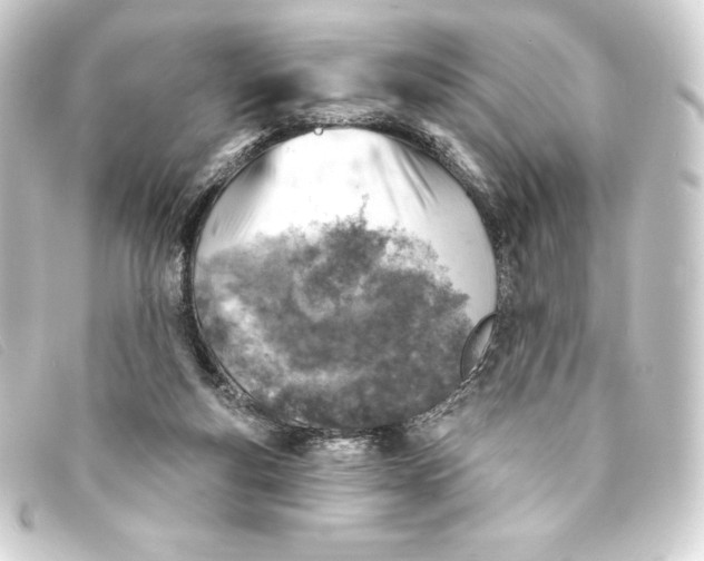 X0000093170163200710241047