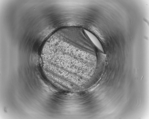 X0000093170164200710241047