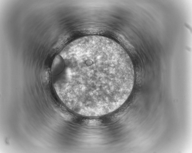 X0000093170165200710241047