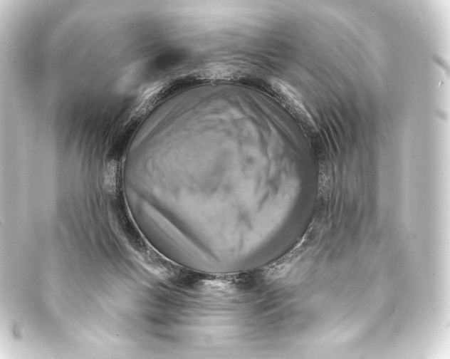 X0000093170167200710241047