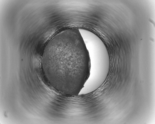 X0000093170168200710241047