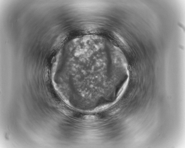 X0000093170169200710241047