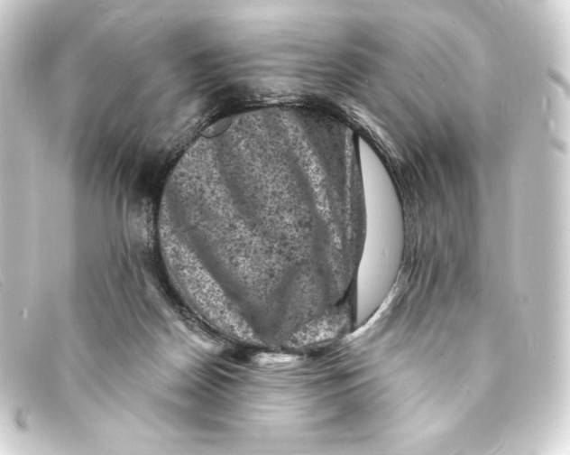 X0000093170170200710241047