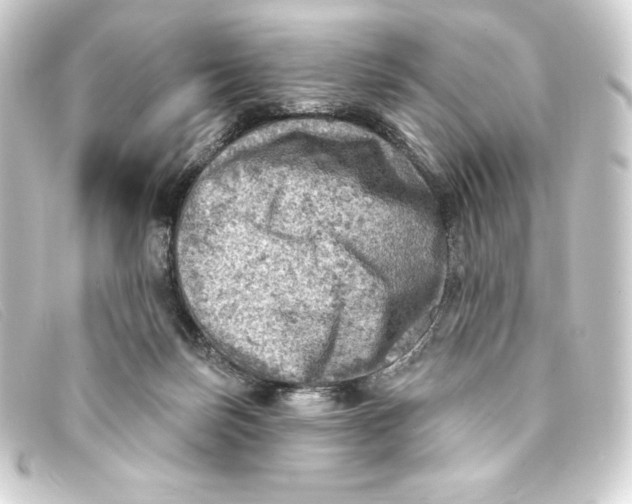 X0000093170171200710241047