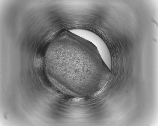 X0000093170172200710241047