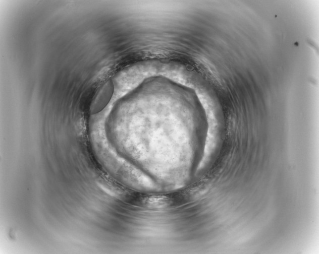 X0000093170173200710241047