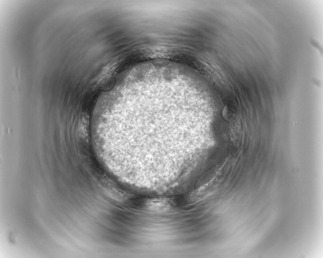 X0000093170175200710241047