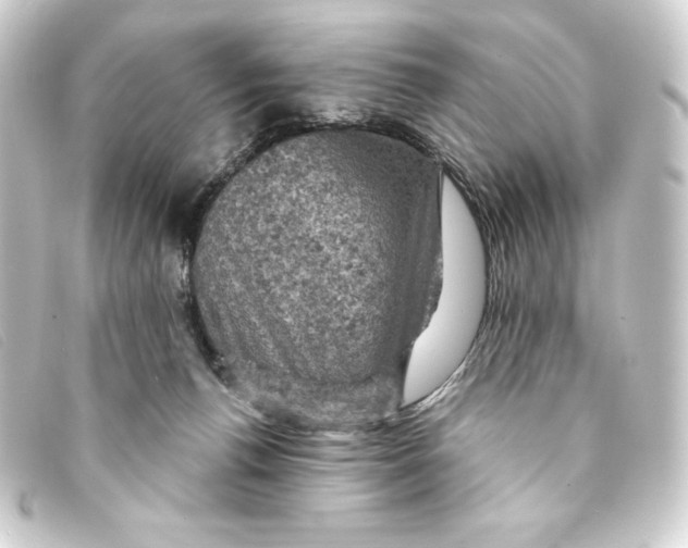 X0000093170176200710241047