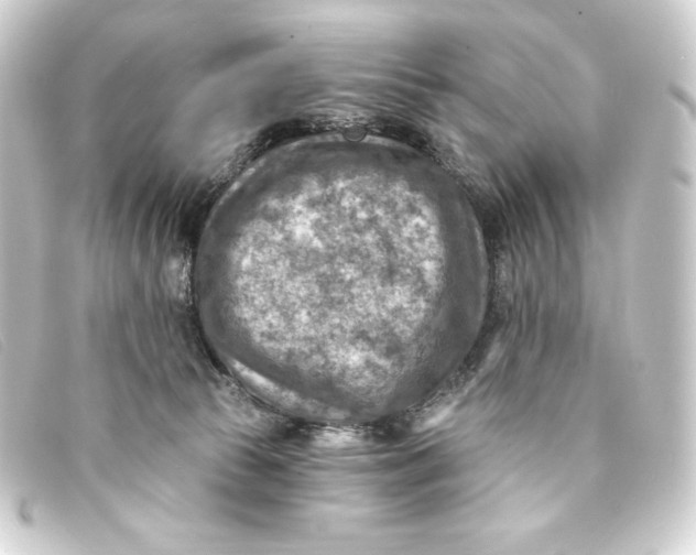 X0000093170177200710241047