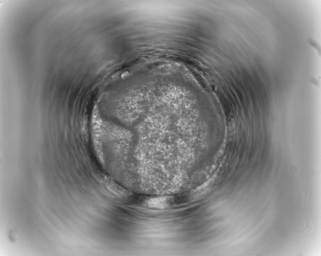 X0000093170178200710241047