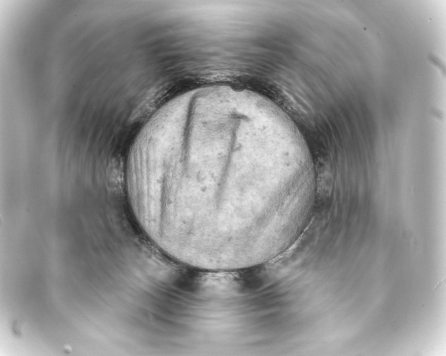 X0000093170179200710241047