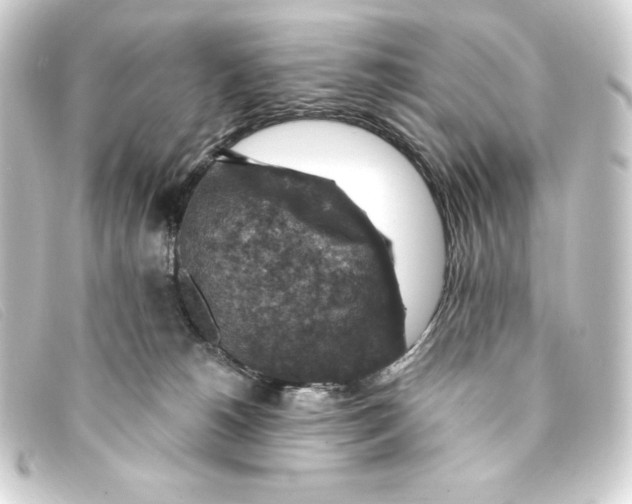 X0000093170180200710241047